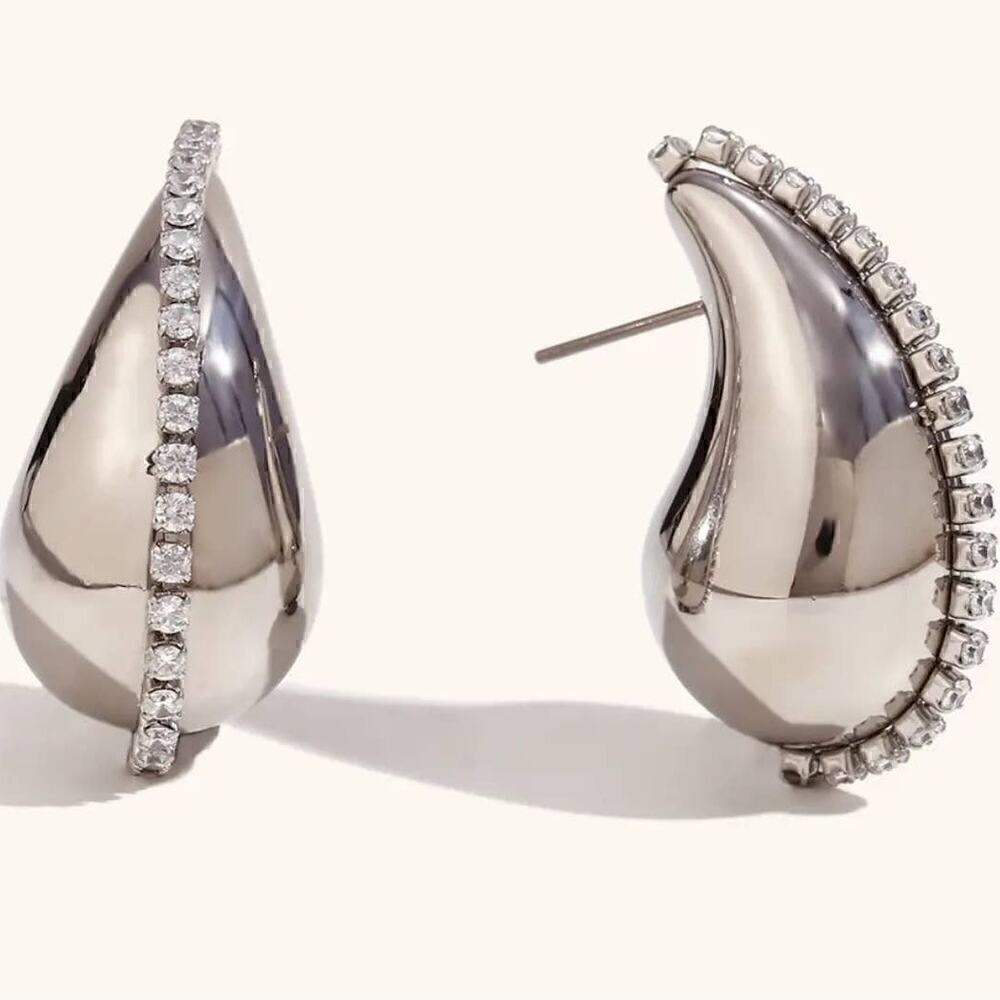 Stainless Steel Water Drop Zircon Earrings